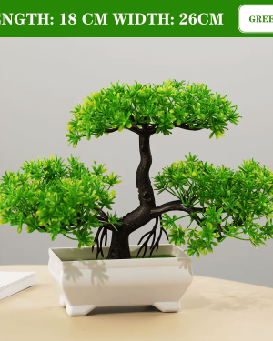 Miniature Bonsai Tree