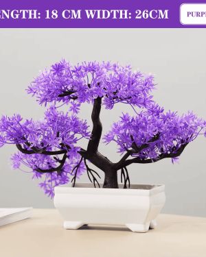 Miniature Bonsai Tree